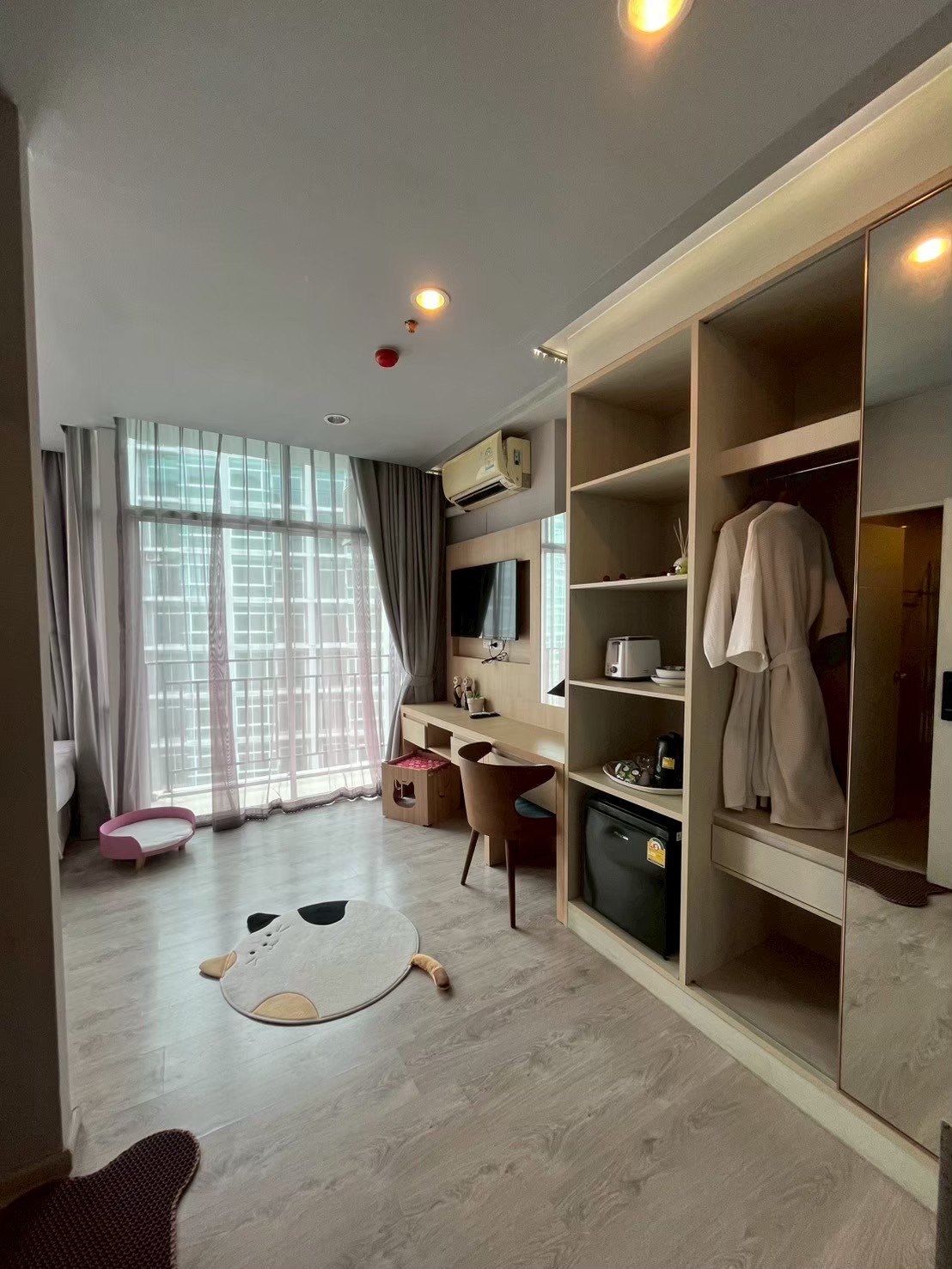 Spacious one-bedroom with walk-in wardrobe and living space